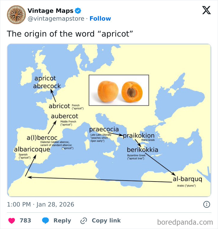 Map showing the origin and evolution of the word apricot across different languages in Europe and the Mediterranean region.