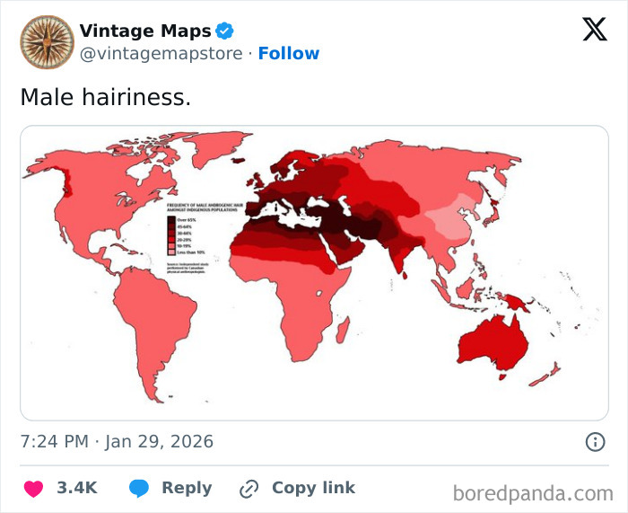 World map showing male hairiness frequency by region with color gradients, a cool map for cartography enthusiasts.