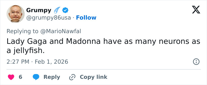 Screenshot of a social media post referencing Lady Gaga amid Epstein files release and Grammy performance chatter.