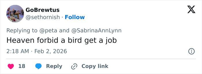 Twitter reply criticizing Sabrina Carpenter's 2026 Grammys performance amid public backlash calling it stupid and cruel.