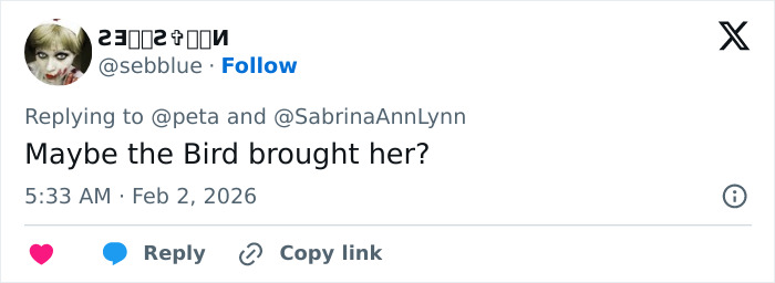 A social media reply mentioning Sabrina Carpenter in a discussion about her 2026 Grammys performance controversy.