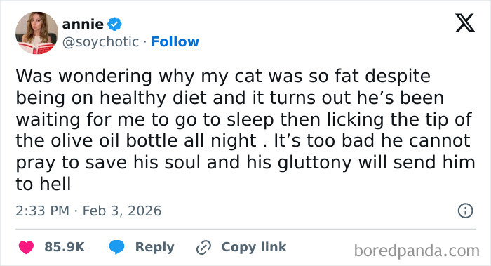 Tweet from user annie humorously describing their cat’s secret habit, part of chaotic and hilarious X posts coping with humor.