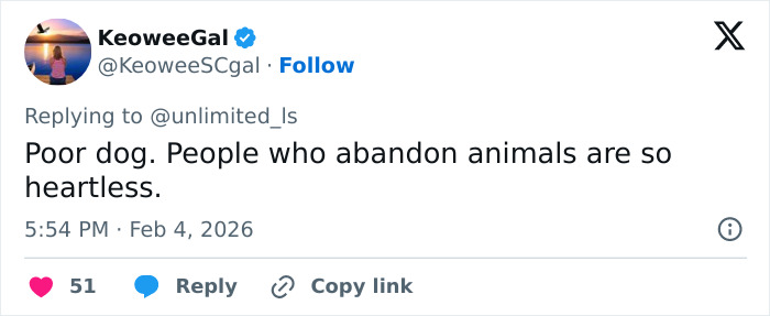 Screenshot of a social media reply expressing sympathy for abandoned animals during a snowstorm rescue by a vet tech.