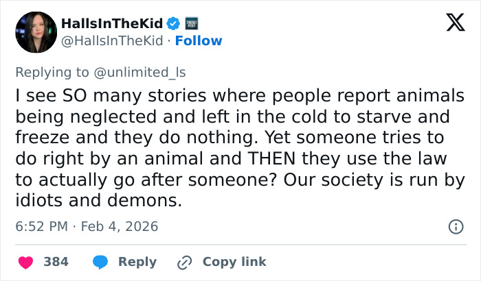 Vet tech charged and fired after rescuing abandoned dog during harsh snowstorm conditions.