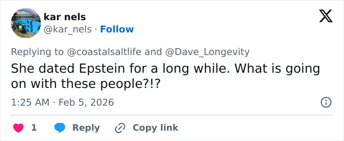 Screenshot of a social media reply discussing Epstein and concerns about his obsession with his ex-girlfriend's daughter.