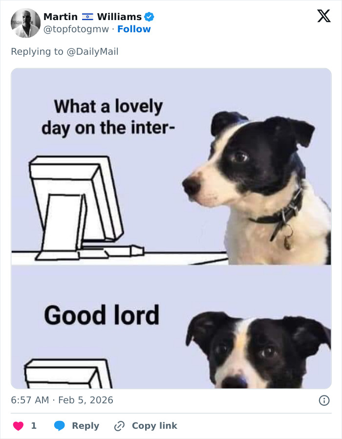 Dog looking at a computer screen reacting with surprise, related to manhood scandal and Winter Olympics rule change.