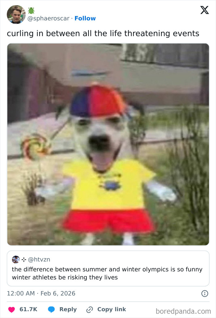 Blurry dog wearing colorful clothes holding toy, tweet humor about 2026 Winter Olympics athletes risking their lives.