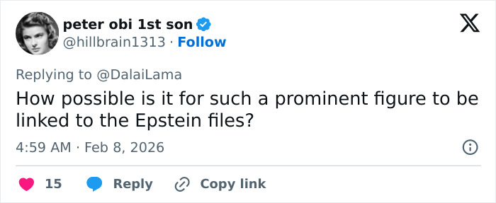 Tweet questioning how the Dalai Lama could be linked to the Epstein files, posted by user peter obi 1st son.