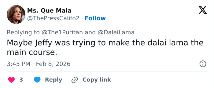 Twitter reply mentioning Dalai Lama in a discussion about his appearances in the Epstein files and related controversy.