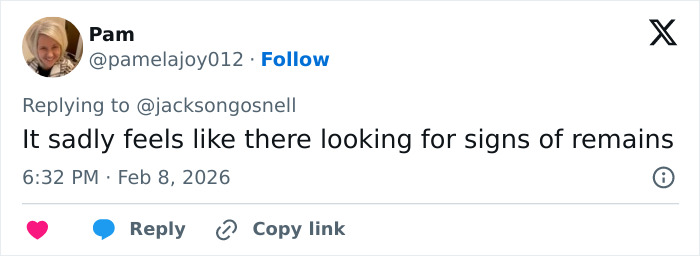 Twitter comment by Pam discussing signs of remains related to Nancy Guthrie's disappearance investigation.