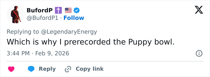 Screenshot of a social media post showing a user humorously referencing the Puppy Bowl during Super Bowl discussions.