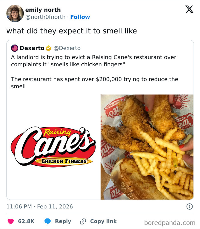 Screenshot of chaotic and hilarious X posts featuring Raising Cane's chicken fingers and funny restaurant eviction dispute.