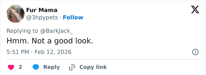 Forensics team setting up white tent at Nancy Guthrie’s home for investigation days after kidnapping incident.