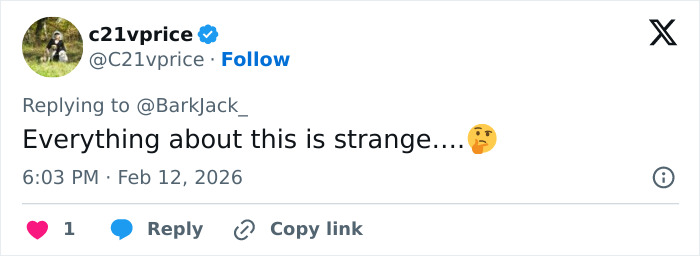 Forensics team setting up a white tent outside Nancy Guthrie's home days after kidnapping investigation begins