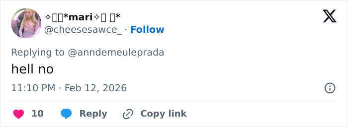 Screenshot of a tweet reply from user cheesesawece_ saying hell no with timestamp and engagement icons visible.