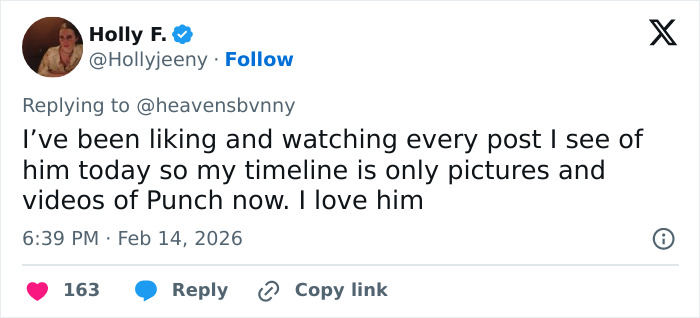 Tweet showing a user expressing love for Punch, the baby monkey with stuffed toy, in a viral heartbreaking video.