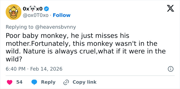 Tweet showing user expressing sympathy for a baby monkey missing its mother, discussing nature's cruelty and abandonment.