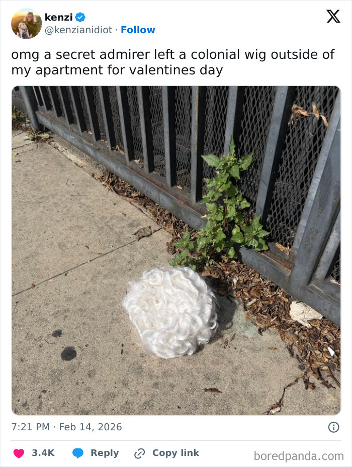 A humorous X post shows a colonial wig left outside on a sidewalk as part of chaotic and hilarious coping humor.