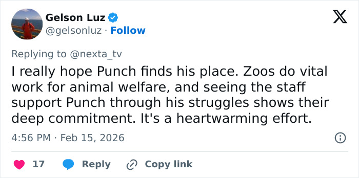 Tweet about baby monkey with stuffed toy showing emotional support after being abandoned by his mom.