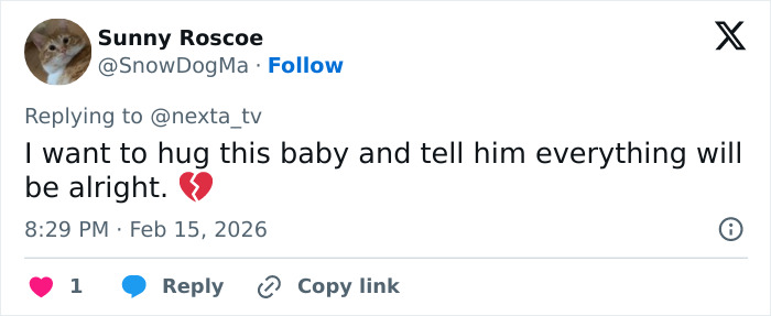 Tweet from user expressing sympathy for baby monkey abandoned by mom, sharing a heartfelt message with a broken heart emoji.