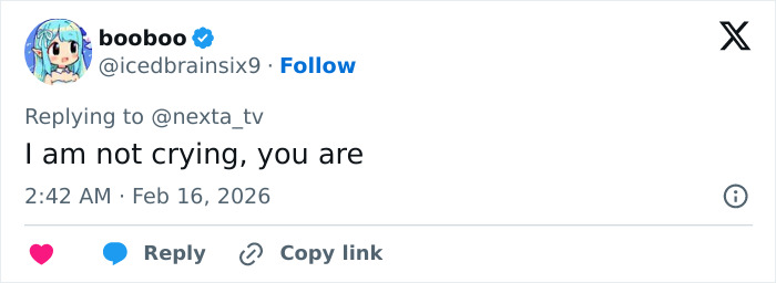 Tweet from user booboo expressing "I am not crying, you are" in response to a viral heartbreaking video of baby monkey with stuffed toy.