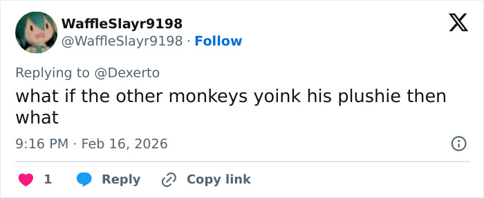 Tweet asking what happens if other monkeys take a baby monkey's stuffed toy, related to heartbreaking baby monkey video.