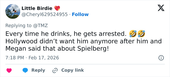 Tweet text from user Little Birdie reacting to Shia LaBeouf's arrests linked to breaking sobriety in New Orleans.