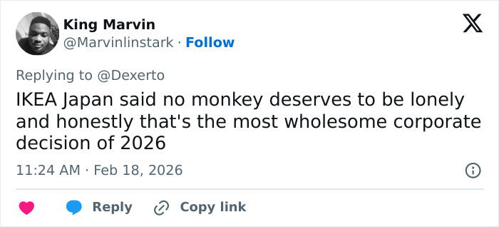 Tweet praising IKEA for a generous gift to baby monkey Punch after his viral mom abandonment story. Tweet praising IKEA for a generous gift to baby monkey Punch after his viral mom abandonment story.
