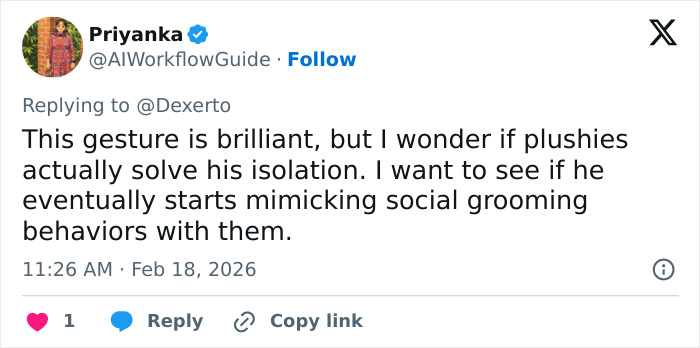 Tweet discussing IKEA praised for generous gift to baby monkey Punch helping with his isolation by providing plushies. Tweet discussing IKEA praised for generous gift to baby monkey Punch helping with his isolation by providing plushies.