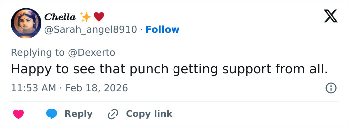 Tweet praising IKEA for generous gift to baby monkey Punch who went viral after mom abandoned him. Tweet praising IKEA for generous gift to baby monkey Punch who went viral after mom abandoned him.