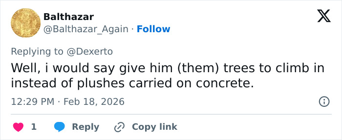 Tweet from user Balthazar suggesting giving trees to climb for baby monkey Punch instead of plush toys from IKEA on concrete. Tweet from user Balthazar suggesting giving trees to climb for baby monkey Punch instead of plush toys from IKEA on concrete.
