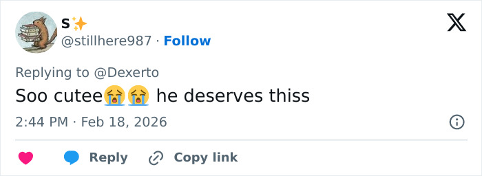 Baby monkey Punch with a cozy blanket, highlighting IKEA praised for generous gift after mom abandoned him viral story. Baby monkey Punch with a cozy blanket, highlighting IKEA praised for generous gift after mom abandoned him viral story.