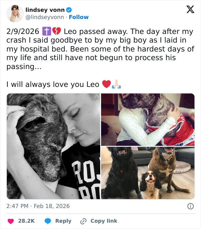 Lindsey Vonn embracing her dog Leo, sharing a heartfelt moment after surgery and a heartbreaking loss.