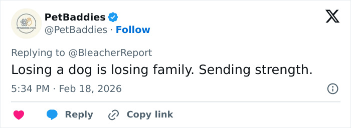 Tweet from PetBaddies offering support and strength following Lindsey Vonn’s broken leg and fifth surgery update.