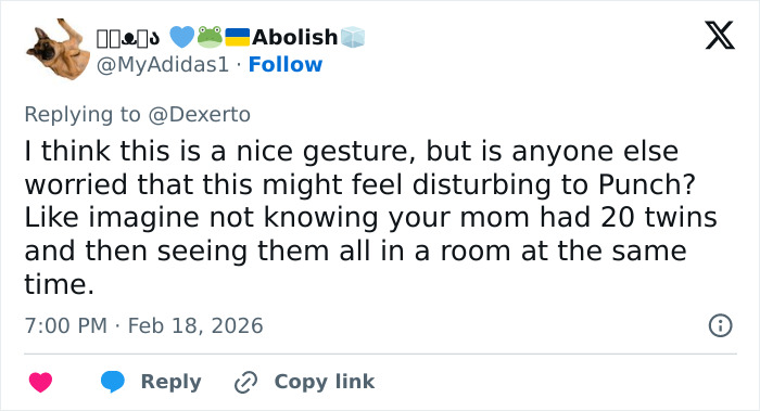 Tweet expressing concern about the generous gift to baby monkey Punch and its emotional impact after mom abandoned him. Tweet expressing concern about the generous gift to baby monkey Punch and its emotional impact after mom abandoned him.