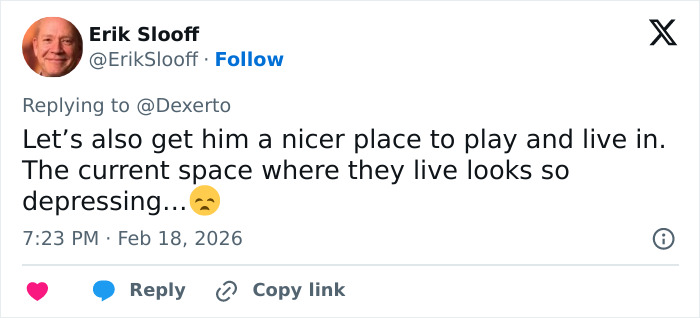 Tweet by Erik Slooff expressing concern for improving living space for baby monkey Punch, praised IKEA's generous gift. Tweet by Erik Slooff expressing concern for improving living space for baby monkey Punch, praised IKEA's generous gift.