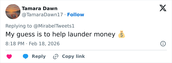 Tweet by Tamara Dawn speculating about money laundering related to Erika Kirk's alleged Epstein link and conspiracy theories.