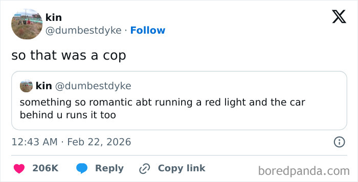 Screenshot of a humorous X post showing text about running a red light and a cop, illustrating chaotic and hilarious humor.