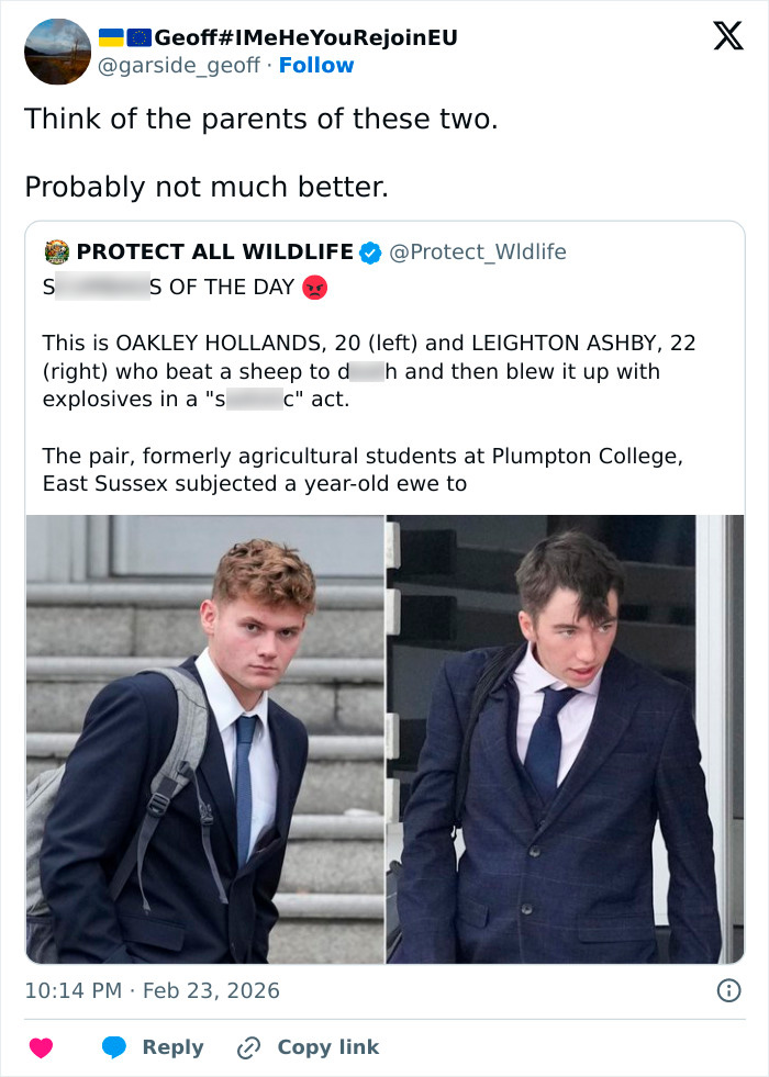 Two students in suits pictured after violent attack involving blowing up sheep with fireworks.
