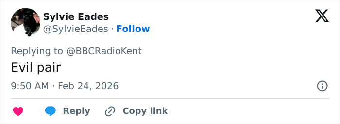 Tweet from Sylvie Eades reacting to news about two students involved in blowing up a sheep with fireworks after an attack.