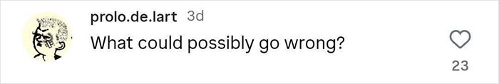 Screenshot of a social media comment reading What could possibly go wrong?, discussing pros and cons of platonic co-parenting.