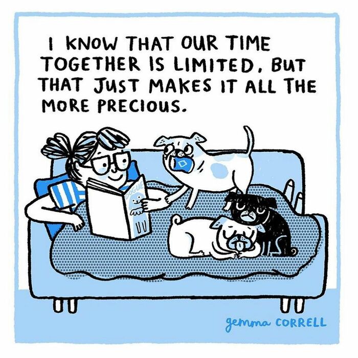 Comic of a person reading on a couch surrounded by pugs, illustrating the bond between pug owners and their pets.