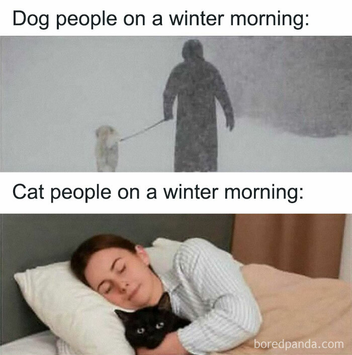 Dog people walk their dog in snow while cat people cuddle a black cat in bed on a winter morning, cat memes humor.