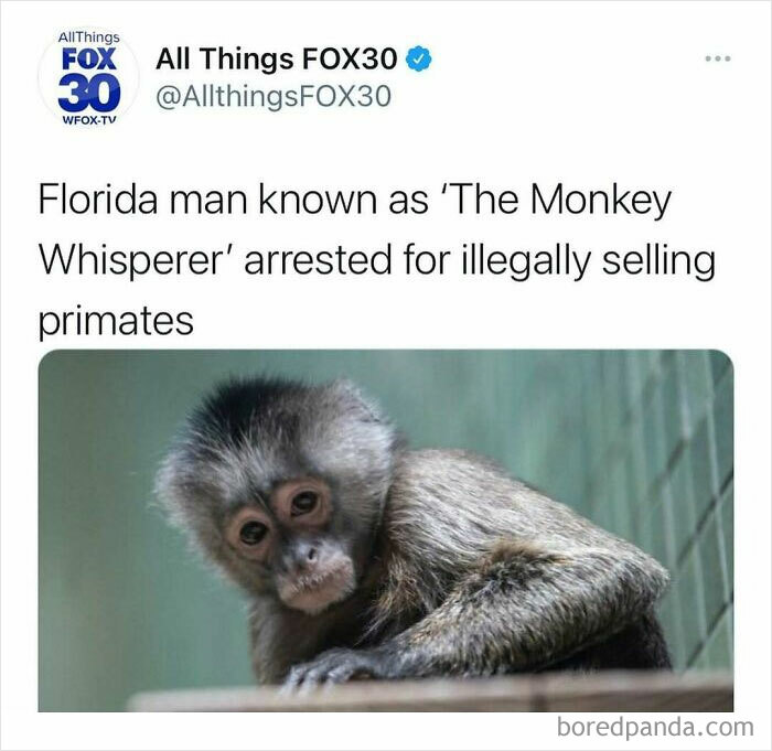 Tweet from All Things FOX30 about a Florida man called the Monkey Whisperer arrested for illegal primate sales, highlighting unhinged news headlines.