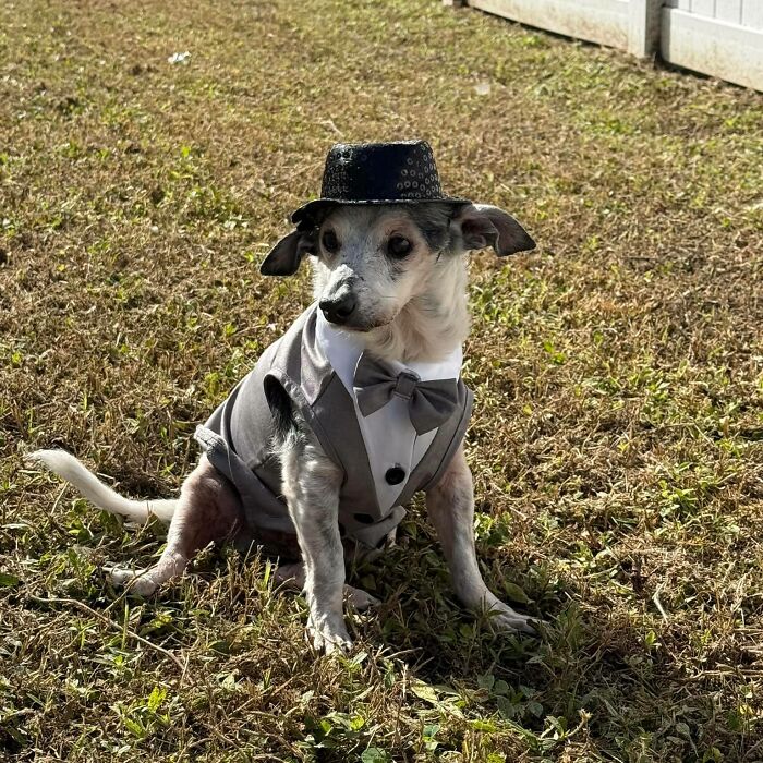 This 25-Year-Old Dog Is Blind, Still Working, And Still Changing Other Dogs’ Lives This 25-Year-Old Dog Is Blind, Still Working, And Still Changing Other Dogs’ Lives