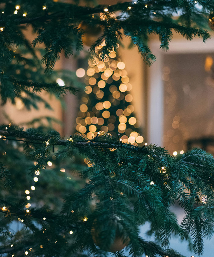 57 Times People Went To A Friend’s House And Instantly Realized “Oh… This Family Is Different”