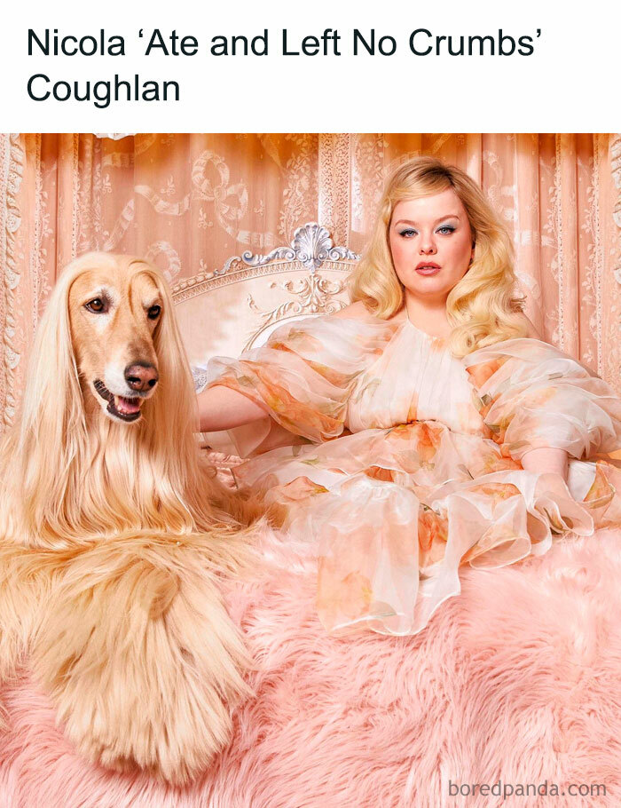 Nicola Coughlan in a Bridgerton-inspired dress, posing with a long-haired dog against ornate drapery background.