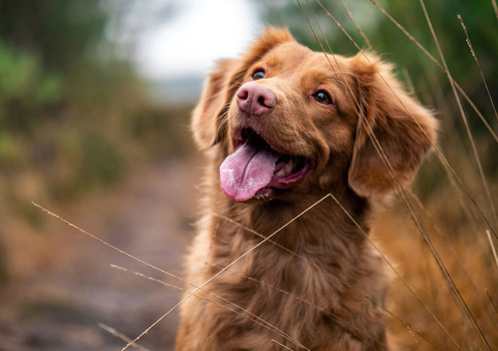 46 Divorce Lawyers Share Stories So Messed Up They Still Haunt Them Today