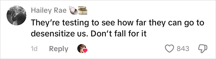 Comment from Hailey Rae expressing concern about attempts to desensitize people related to Frida Mom marketing chaos.