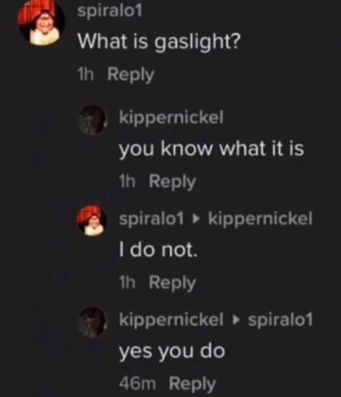 Chat conversation meme showing a cynical exchange about the meaning of gaslight in hilarious internet humor style.